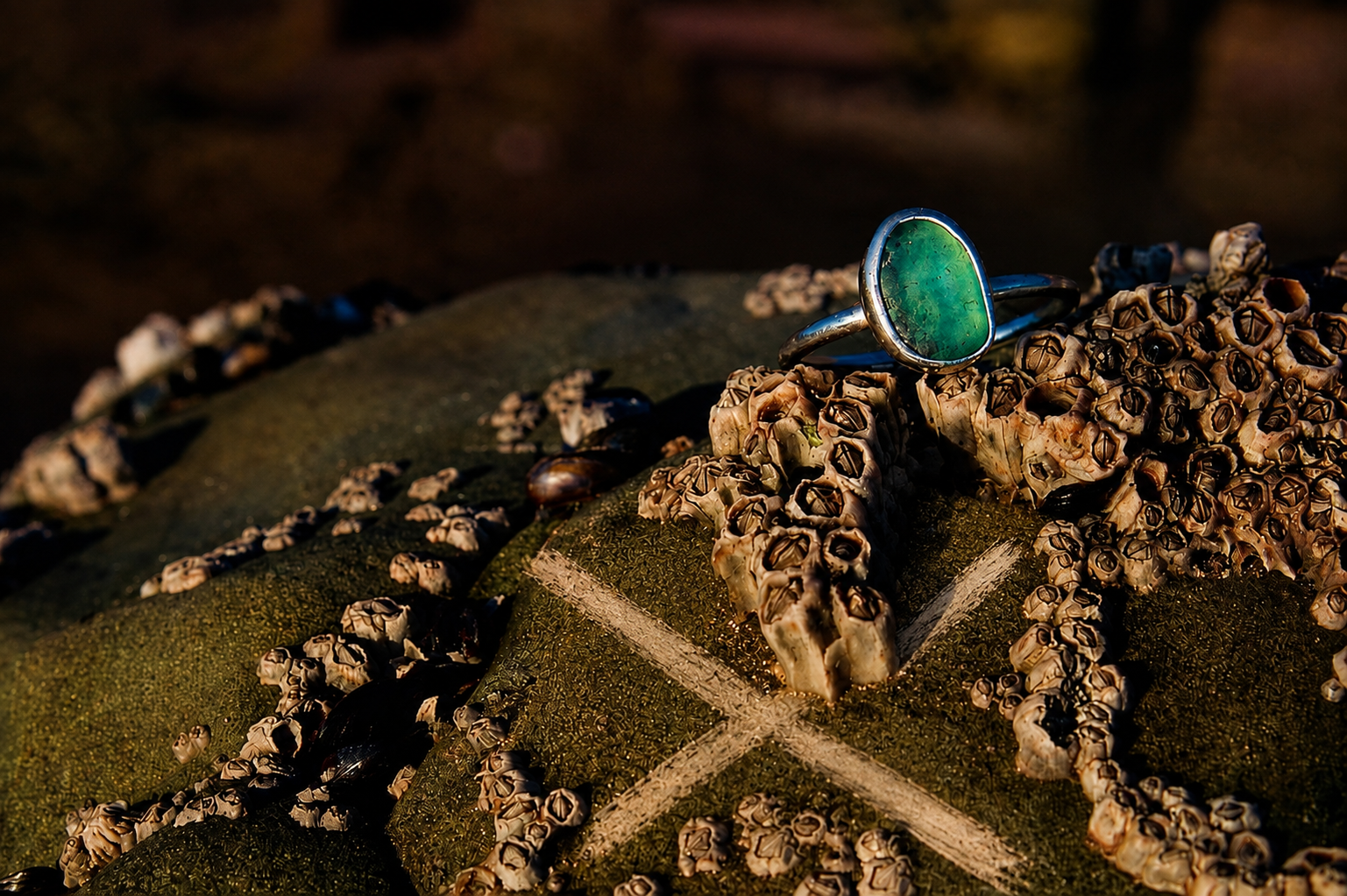 Gift Voucher — Go Find Some Treasure